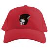 Baseball Caps Thumbnail