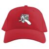 Baseball Caps Thumbnail