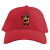 Baseball Caps Thumbnail