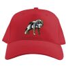 Baseball Caps Thumbnail