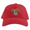 Baseball Caps Thumbnail