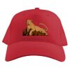 Baseball Caps Thumbnail