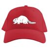 Baseball Caps Thumbnail
