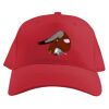 Baseball Caps Thumbnail