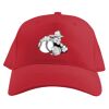 Baseball Caps Thumbnail