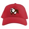 Baseball Caps Thumbnail