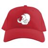 Baseball Caps Thumbnail