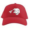 Baseball Caps Thumbnail