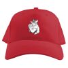 Baseball Caps Thumbnail