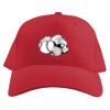Baseball Caps Thumbnail