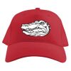 Baseball Caps Thumbnail