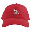 Baseball Caps Thumbnail