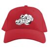 Baseball Caps Thumbnail