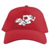 Baseball Caps Thumbnail
