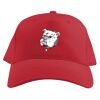 Baseball Caps Thumbnail