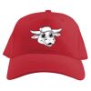 Baseball Caps Thumbnail