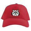 Baseball Caps Thumbnail