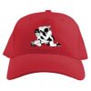 Baseball Caps Thumbnail