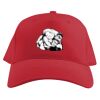 Baseball Caps Thumbnail