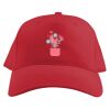 Baseball Caps Thumbnail